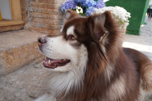 2023 年度精选照片