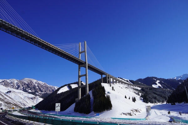 2024 年度精选照片